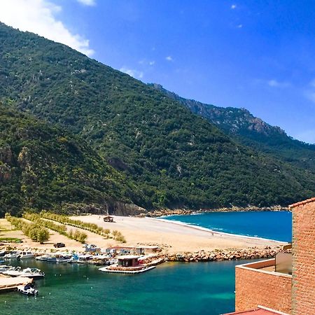 Appartements Les Residences Du Port La Siesta Porto  Dış mekan fotoğraf